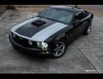 MUSTANG Bimmer post pic 3.jpg